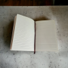 Banksy A5 notebook, engraved soft cover - Liberty State - Image 4